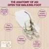 Walking Foot for Quilting and Sewing Stitch Through Multiple Layers and Match Prints Compatible with Low Shank Sewing Machine Brother, Singer, Janome, Babylock & More 2